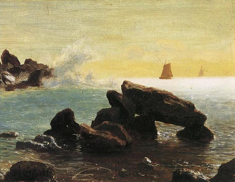 Albert Bierstadt Farallon Islands, off San Francisco in the Pacific, Northern California Spain oil painting art